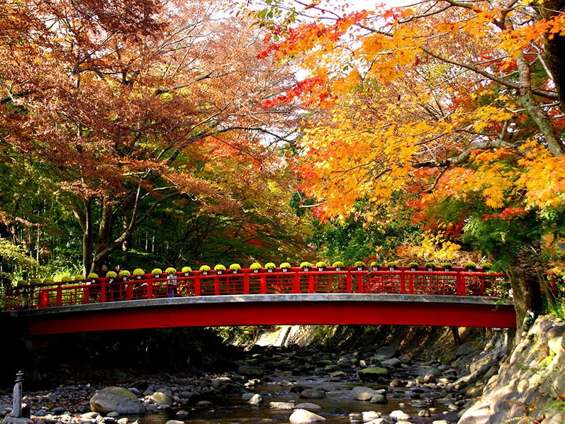 【静岡県・2024年版】秋の絶景・風物詩10選。修善寺温泉の「恋の橋」で絶景フォトを