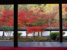 【奈良県 2024年版】秋の絶景・風物詩10選 紅葉と緑が織り成す“錦の里”「正暦寺の紅葉」