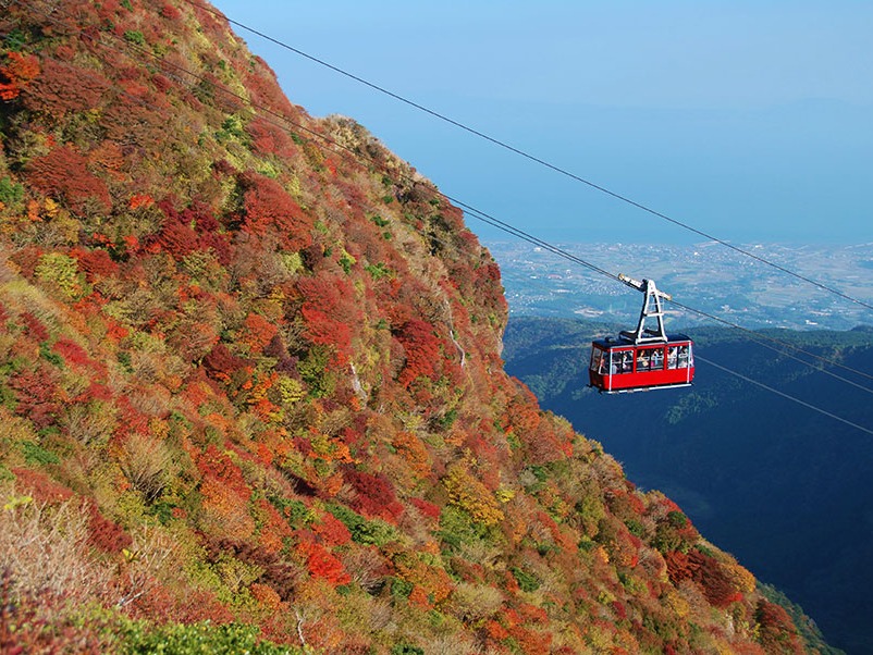 【長崎県・2024年版秋の絶景・風物詩10選。その光景は天然記念物にも指定「普賢岳広葉樹林」