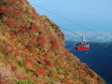 【長崎県・2024年版秋の絶景・風物詩10選。その光景は天然記念物にも指定「普賢岳広葉樹林」