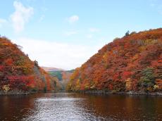 【2024年版】 今こそ行きたい！ 日本の秋の絶景 ～北海道・東北篇～