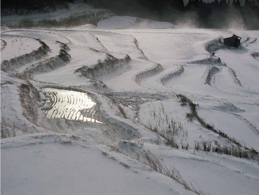 【兵庫県・2025年版】冬の絶景・風物詩10選。日本の原風景“別宮の棚田”の雪化粧は、息をのむ美しさ