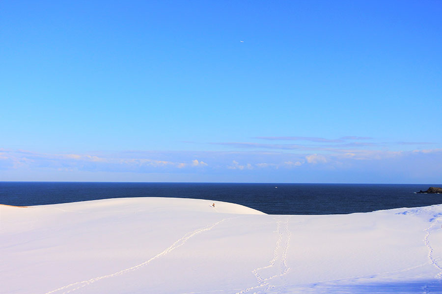 【鳥取県・2025年版】冬の絶景・風物詩10選。雪化粧した鳥取砂丘で、“白と青の世界”に酔いしれる