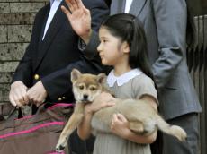 「7歳の愛子さまは由莉を抱っこ」「亀や金魚も…」天皇ご一家のおそばにいた“生きもの”【猫の写真も話題】――2024年BEST記事