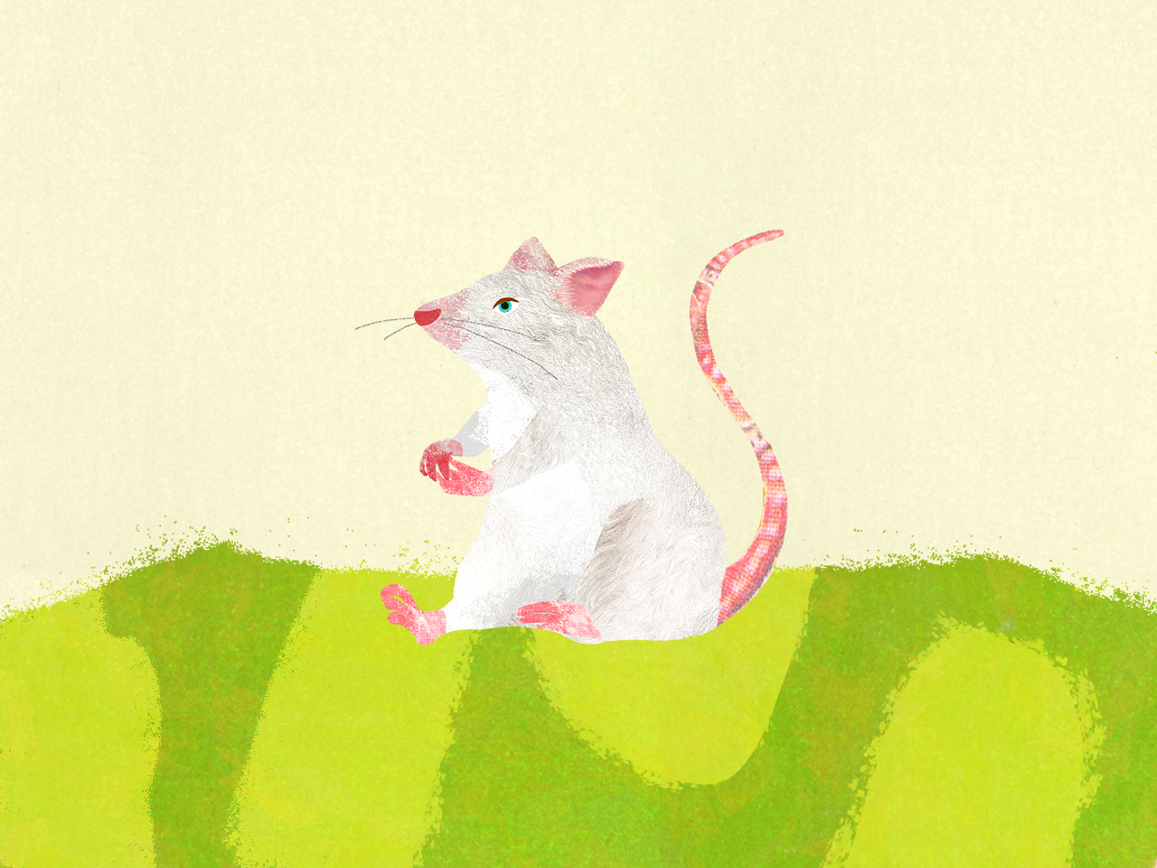 ネズミページ♡⃜ creabunshun_56575_0.jpg