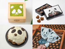 エキュート上野限定の逸品も》2026最新！ 可愛すぎるパンダスイーツ10