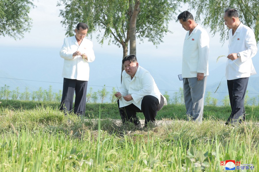 「国のせいで作物が壊滅」北朝鮮&#8221;お役人農業&#8221;のポンコツ度