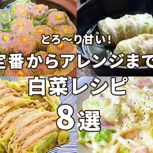 とろ～り甘い！定番からアレンジまで、白菜レシピ８選