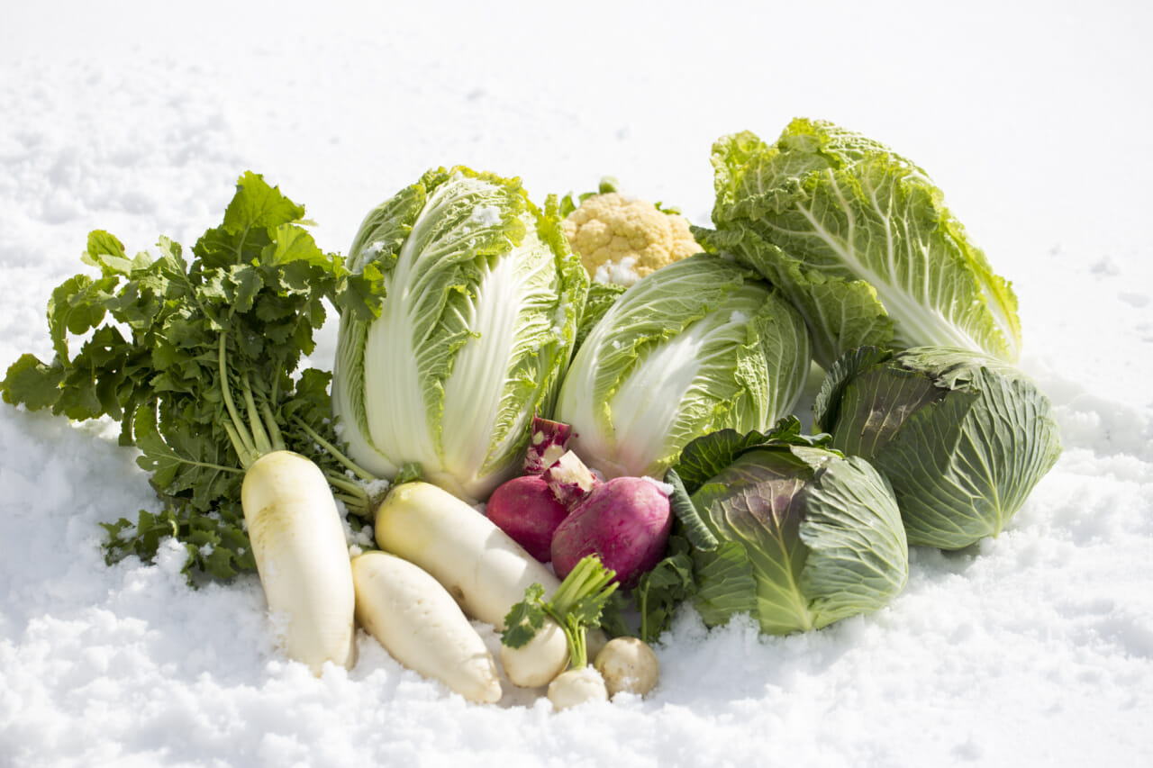 野菜ソムリエが伝授！意外に知らない冬野菜の選び方とおいしい食べ方