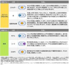 グローバル市場見通し（2024年11月）～米国株式に対し強気の見通しを維持～