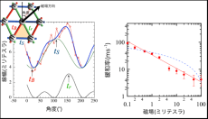 【理化学研究所・芝浦工業大学・熊本大学ニュース】量子スピン液体物質における新発見