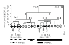 世界遺産高野山麓にある樹齢400年のカヤの樹に接木の痕跡を発見　当時の人々の交流や生活を推察する一端となる研究成果