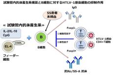 【日本大学】難病同士の合併 メカニズムを日大が解明