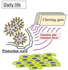 【日本大学】シナモンが新型コロナウイルス感染を阻害するメカニズムを解明