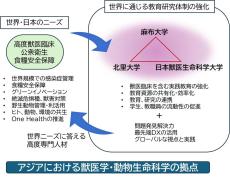 獣医学部　青本赤本2023 日本獣医生命科学大学 麻布大学 北里大学 日本大学 獣医学部 青本赤本2023 日本獣医生命科学大学 麻布大学 北里大学 日本