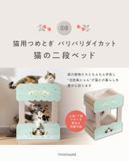 mofusand 猫海外限定確認用 mofusand×猫壱」大ヒットコラボの第2弾 限定デザインの「食器