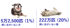 グローバルで実施した「飼い主のいないペットの現状把握プロジェクト」
日本におけるペット（犬・猫）に関する調査データ初公開