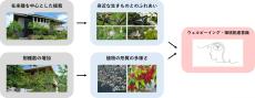 「５本の樹」計画の在来種中心の植栽がウェルビーイングの向上に寄与
東京大学と積水ハウス、生物多様性と健康に関する共同研究についての最新分析結果を発表