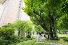 日本女子大学が地方入学者へ4年間の学費等を給付する給付型奨学金「桜楓樹給付奨学金」を開始 -- 2025年度より総合型選抜受験者を対象に選考 --