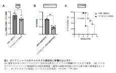 病原細菌サルモネラは宿主ポリアミンを利用し、病原因子III型分泌装置を構築することにより、感染する --ポリアミンの制御は、細菌感染を抑制する可能性を発見 --北里大学