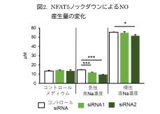 高ナトリウム血症がミクログリアへ及ぼす影響