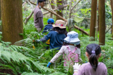 京急×原っぱ大学 共同で法人向けの「森林共創パートナー事業」を開始します