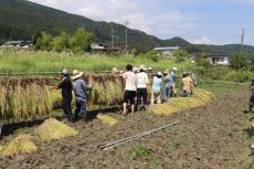 多摩大学が「食と農--田植え・稲刈り」への関わりを通じて高齢者の社会参画を考える企画を実践