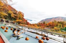 【箱根小涌園ユネッサン】今年で40回目の群馬県民の日！「おいでよ！群馬県民割」