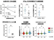 【大阪大学】免疫を標的としたB型肝炎の創薬へ　B型肝炎慢性化に関わる免疫の変化を発見　―TLR7を標的とした治療開発に期待―