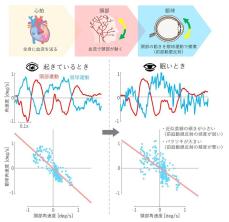 【中部大学】心拍による頭の揺れを無意識に眼球運動が補正することを発見、覚醒度との関連性も実証--眠気検知・居眠り防止の新たな技術として期待--