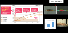 11月1日は“IHクッキングヒーターの日”！
IHクッキングヒーターに命（調理ソフト）を吹き込み新しい時代の「おいしさ」を作る