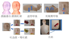 【AR（拡張現実）を使い訓練用マネキン上に心臓や血管、傷病者外観を再現】「ヒューマンインタフェースシンポジウム2024」で金沢工業大学情報工学科山本研究室が優秀プレゼンテーション賞を受賞