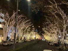 都内のクリスマスの街並みを眺めながら本格的なフレンチを堪能する12月限定の『クリスマス洋食フルコースプラン』を提供