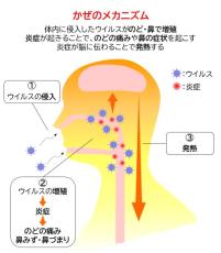 「かぜ薬を飲み始めるタイミング」について調査！