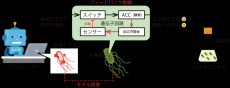 数理モデルの誤差を細胞内のセンサー分子を使って補正する、
コンピューターと細胞が協力するハイブリッドなバイオプロセス制御システムを開発