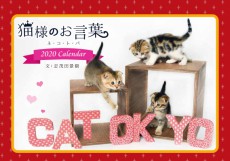 猫様のお言葉 ネ コ ト バ卓上カレンダー は 志茂田景樹氏の心に響く名言 かわいい子猫写真集 今年もお洒落な猫好きさんにぴったりな大人可愛いデザインで販売スタート 記事詳細 Infoseekニュース
