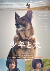 約束を果たすため旅をする1匹の犬が起こした奇跡の物語　高橋文哉＆西野七瀬主演「少年と犬」特報公開