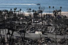 ハリウッドの映画界が結束、LA山火事に緊急支援表明