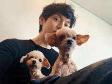 水嶋ヒロ、愛犬との“アフロ３兄弟”写真に「そっくり」 