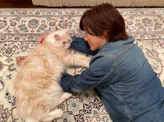  DAIGO、大好きな愛猫ジルとの腕枕ショットに「激かわ」 