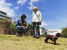 丸山桂里奈、青空の下で本並健治＆愛犬と家族ショット