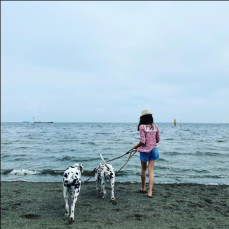 高岡早紀、浜辺を歩く長女と愛犬たちの後ろ姿に「素敵」