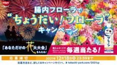 あなただけの花火大会（100万円相当）で非日常体験を！