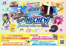 全米で人気の「HI-CHEW」をアソートとして再現＆逆輸入