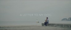  一緒に長生きしよう……愛犬との深い愛を描いた心温まる動画が公開中 