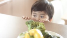  “ママ、おいしい”って言われたい！ 野菜嫌いの子どもと奮闘する動画が公開中 