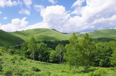  「山の日」にちなみ、山ソングのカラオケリクエストランキングが発表！ その結果はなんと…… 