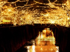  中目黒・目黒川沿いを約30万球の黄金イルミで装飾！ 