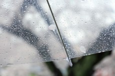  【2017年梅雨事情】梅雨が好きな人はわずか８％ 