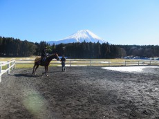 澄み渡る富士の麓で、サラブレッドに乗る―朝霧高原「エクインホリック」【富士の旅vol.2】